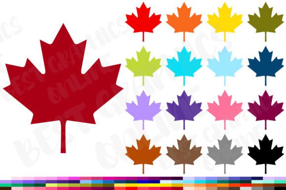 Download Maple Leaf Clipart Canadian Leaves Image - Image Collection