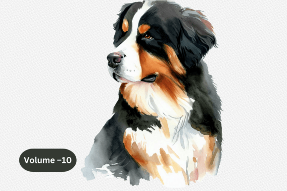 Download Bernese Mountain Dog Watercolor Clipart - Dog Collection